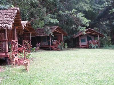 Simbamwenni Lodge And Camping Morogoro Exteriör bild