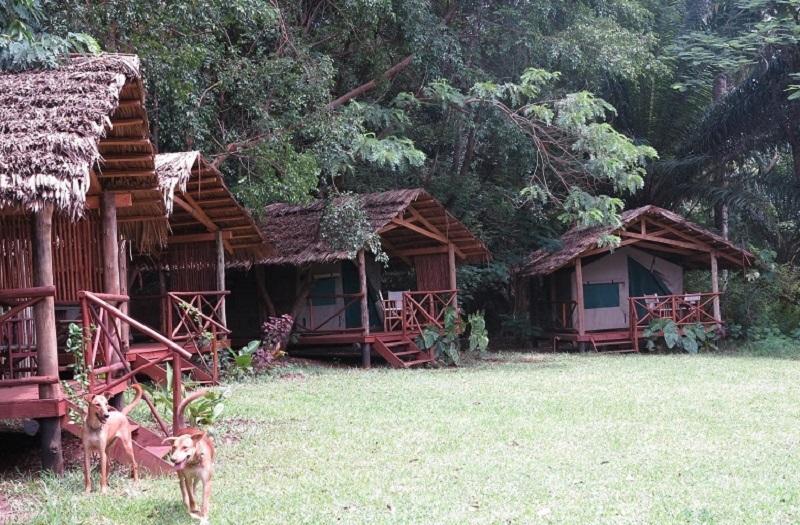 Simbamwenni Lodge And Camping Morogoro Exteriör bild