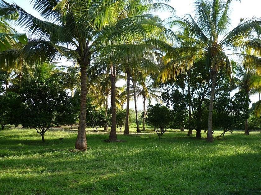 Simbamwenni Lodge And Camping Morogoro Exteriör bild